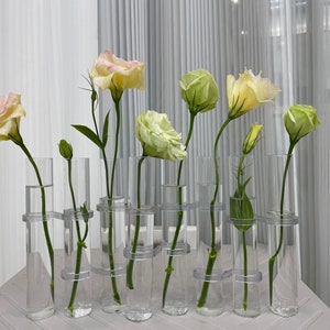 Test tube clear glass vase home | plant propagation | plant lover gift| gift for her | indoor plant cuttings | garden lover,