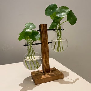 Plant Propagation | Plant Lovers Gift | Gifts For Her | Indoor Plant Cutting Stand | garden lovers