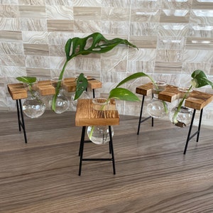 Plant Propagation | Plant Lovers Gift | Gifts For Her | Indoor Plant Cutting Stand | garden lovers