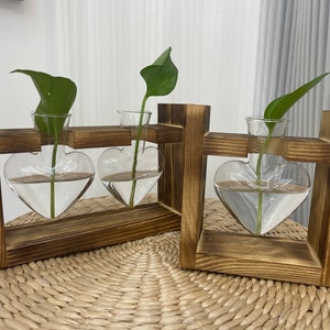 Plant Propagation | Plant Lovers Gift | Gifts For Her | Indoor Plant Cutting Stand | garden lovers