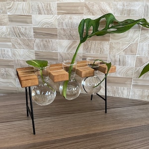Plant Propagation | Plant Lovers Gift | Gifts For Her | Indoor Plant Cutting Stand | garden lovers