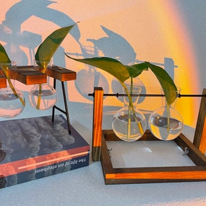 Swing Style|Plant Propagation | Plant Lovers Gift | Gifts For Her | Indoor Plant Cuttings Stand | Garden Lovers