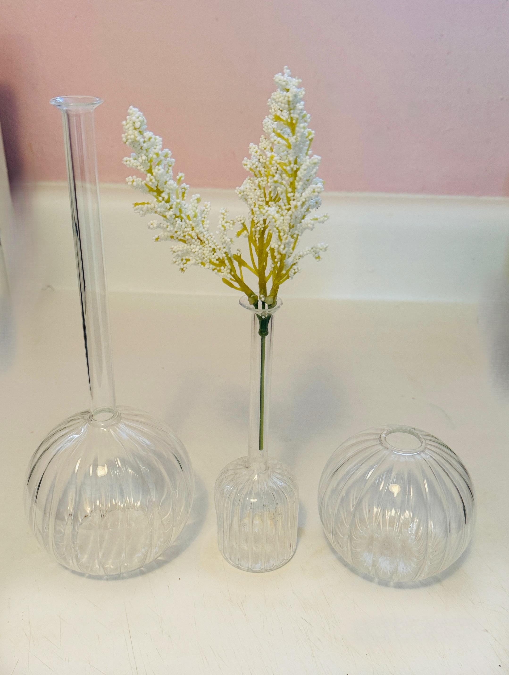 Hoya Glass Vase - Etsy