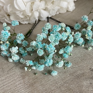 3 gypsophila hair pins Hair accessories Bridal bun wedding dried flowers Bleu clair