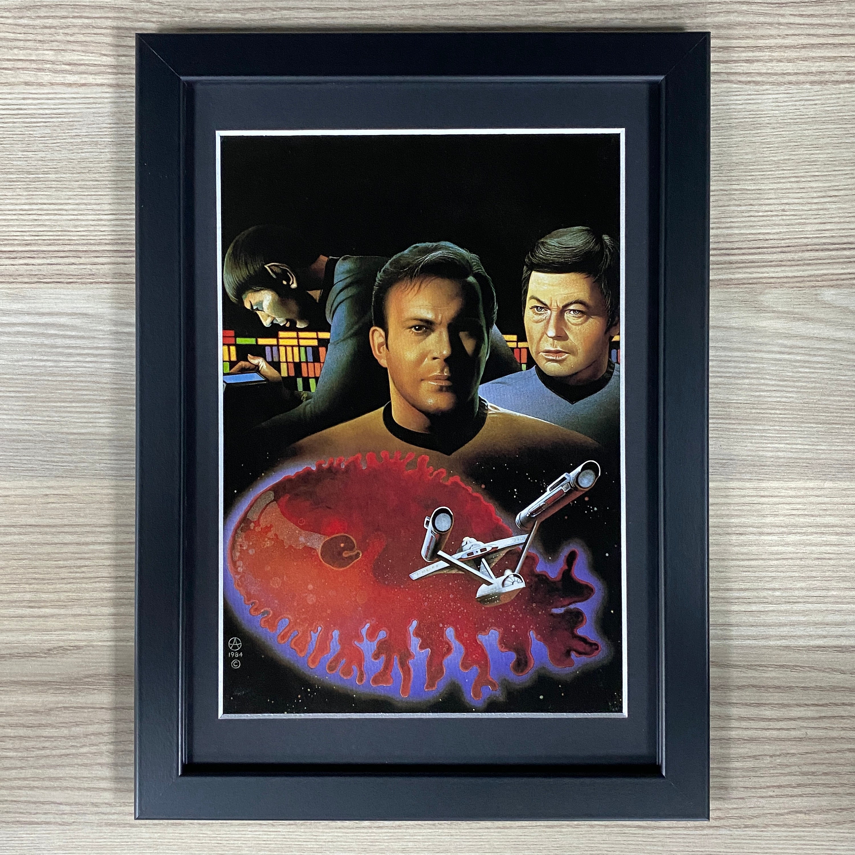 star trek framed art