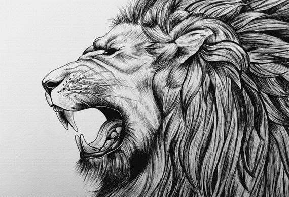 Drawing Drawing