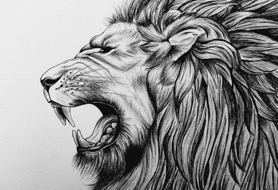 roaring lion drawing images