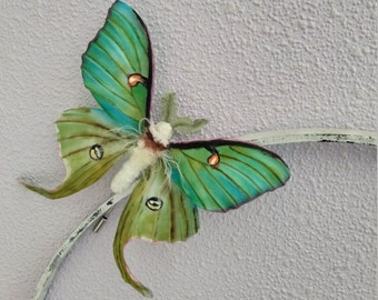 Luna moth pin Butterfly lover gift