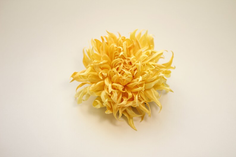 Сhrysanthemum brooch Silk flower brooch Mimi gifts image 2