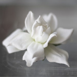 Bridal hair piece, gardenia boutonniere