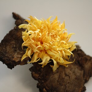 Сhrysanthemum brooch Silk flower brooch Mimi gifts image 3