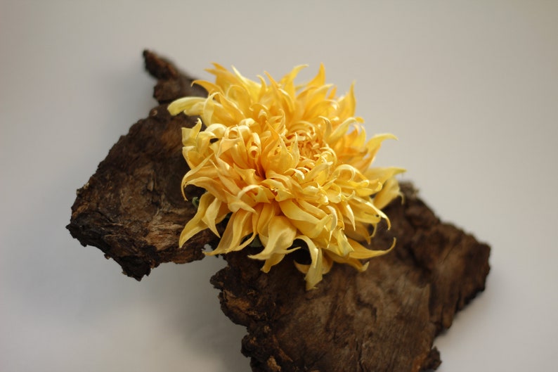 Сhrysanthemum brooch Silk flower brooch Mimi gifts image 3