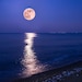 Moonwake Mercantile