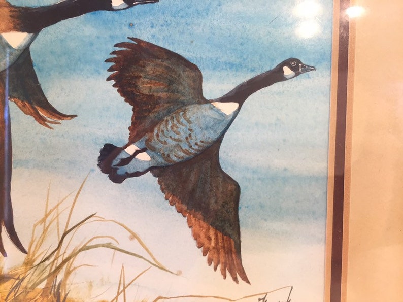 Water Color Geese Art