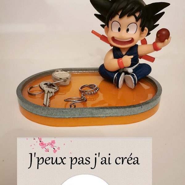 Vide Poche Dragon Ball Z