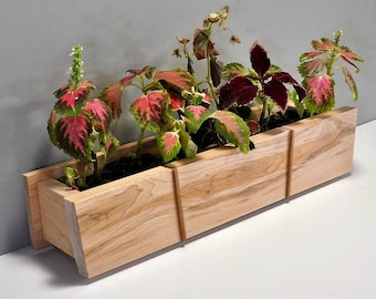 Extraordinary Maple Planter With Vibrant Flowing Center Grain Swath - Sections Shaped in Opposing Angles  - Desk Planter