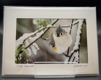 May include: A framed photograph of a Tufted Titmouse bird perched on a snow-covered branch. The bird has gray, white, and orange plumage. The photograph is in a clear acrylic frame with the words "Tufted Titmouse" written on the bottom left.