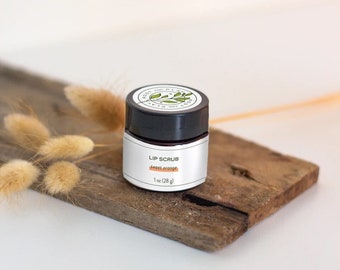 Lip Scrub - Sugar Cookie or Sweet Orange