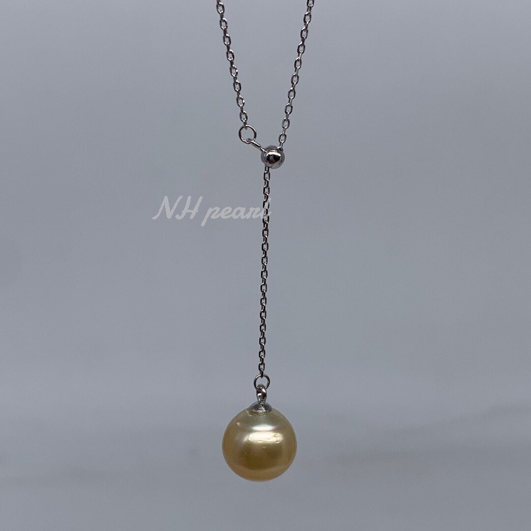 Cómo Combatir A La Mosca Del Olivo? - Burgos Salaverry - Foto 3