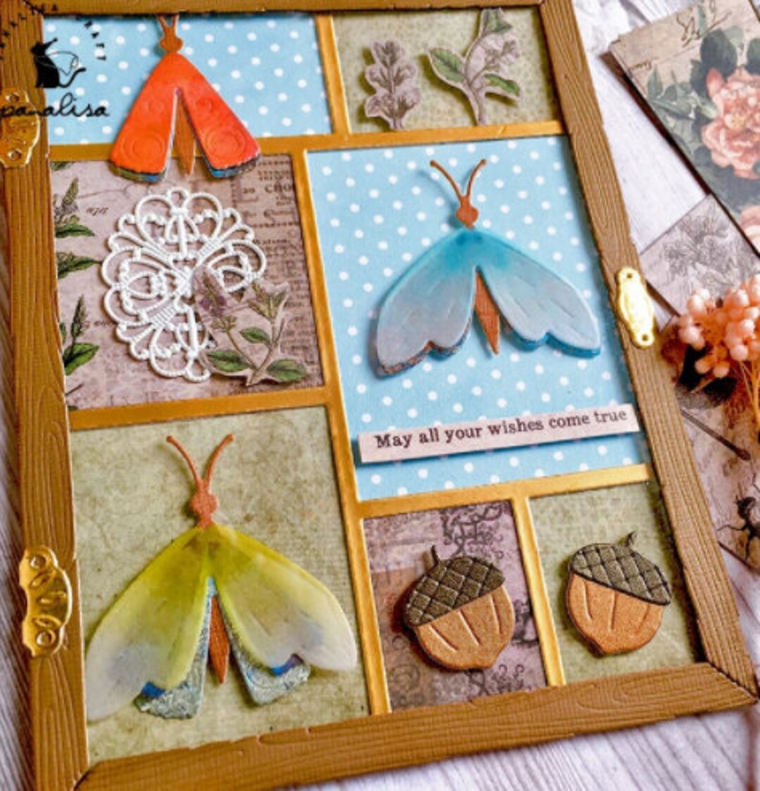 Insects Collection Album Frames Metal Cutting Dies DIY Scrapbooking ...