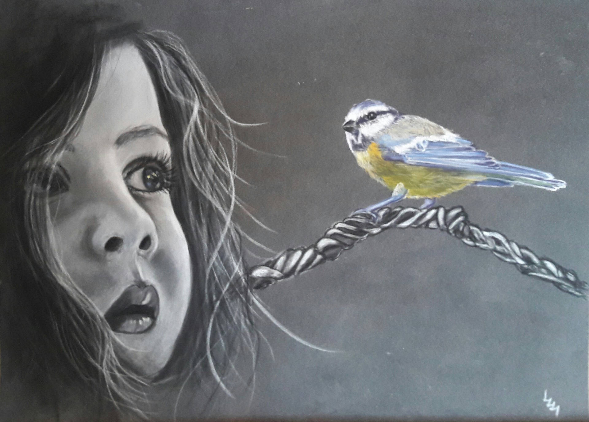 Pastel Sec Noir et Blanc Représentant Une Petite Fille Regardant Mésange sur Branch