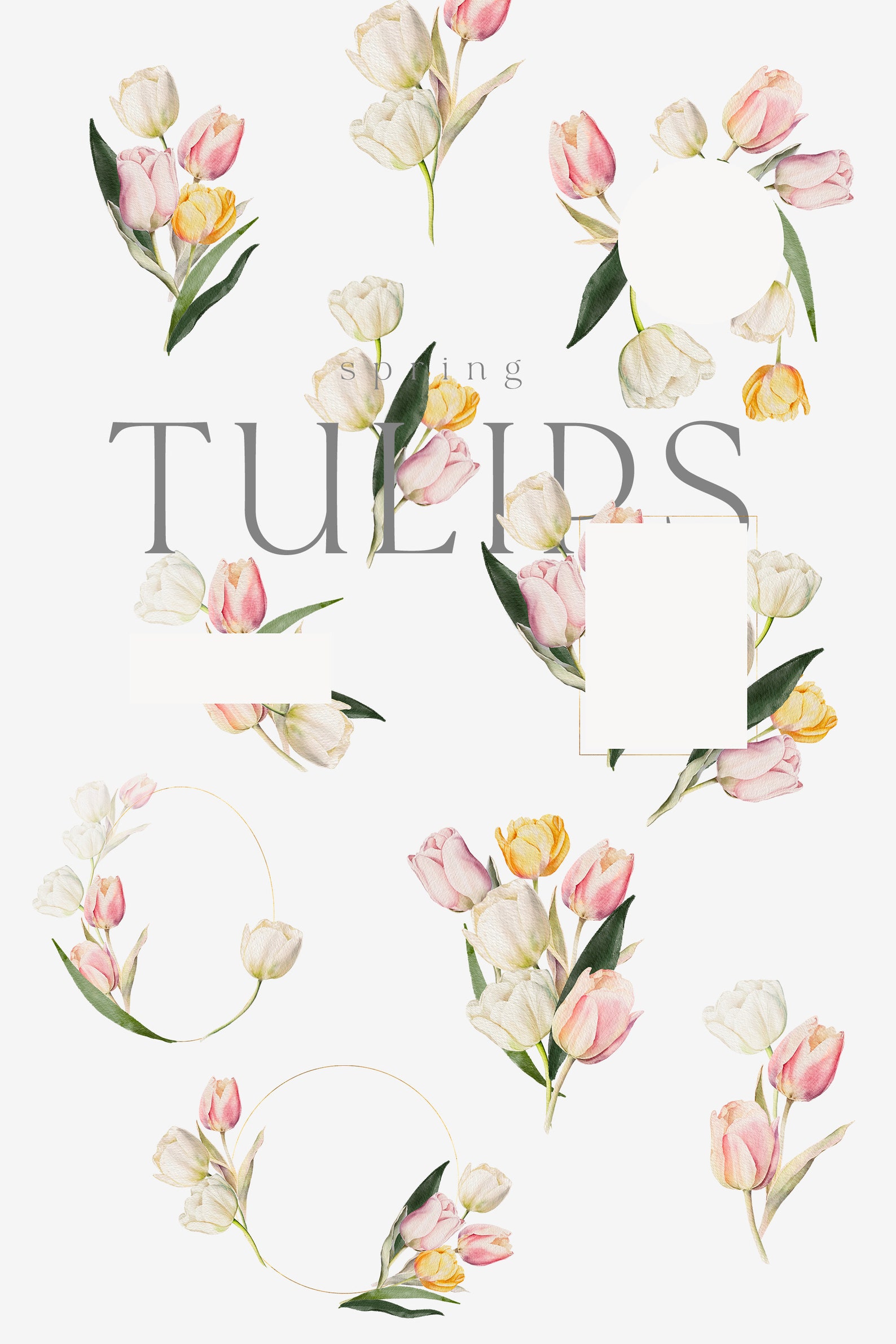 Watercolor Tulips Clipart - Tulips Clipart - Spring Clipart - Spring ...