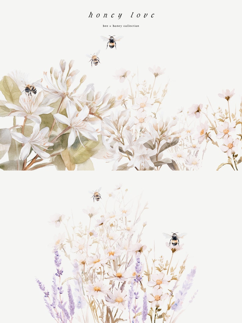 May include: Watercolor illustration of white flowers and bees. The flowers are arranged in a cluster and have a delicate, watercolor look. The bees are flying around the flowers and are depicted in a realistic style. The text "honey love" and "bee + honey collection" is written at the top of the image.