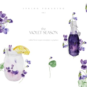 Violette Blumen Clipart - Frühlings Wildtiere Clipart - Violette Clipart - Aquarell Wildblumen - Rezept Vorlagen