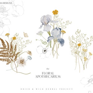 Clipart floral em aquarela, clipart de boticário, clipart floral, clipart de arte de parede, clipart de flores silvestres, pacote de clipart floral, clipart de borboletas