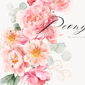 Peony Watercolor Clipart - Eucalyptus Clipart - Floral Clipart - Gold Foliage - Wedding Clipart - Peony Clipart - Watercolor Clipart - Peony