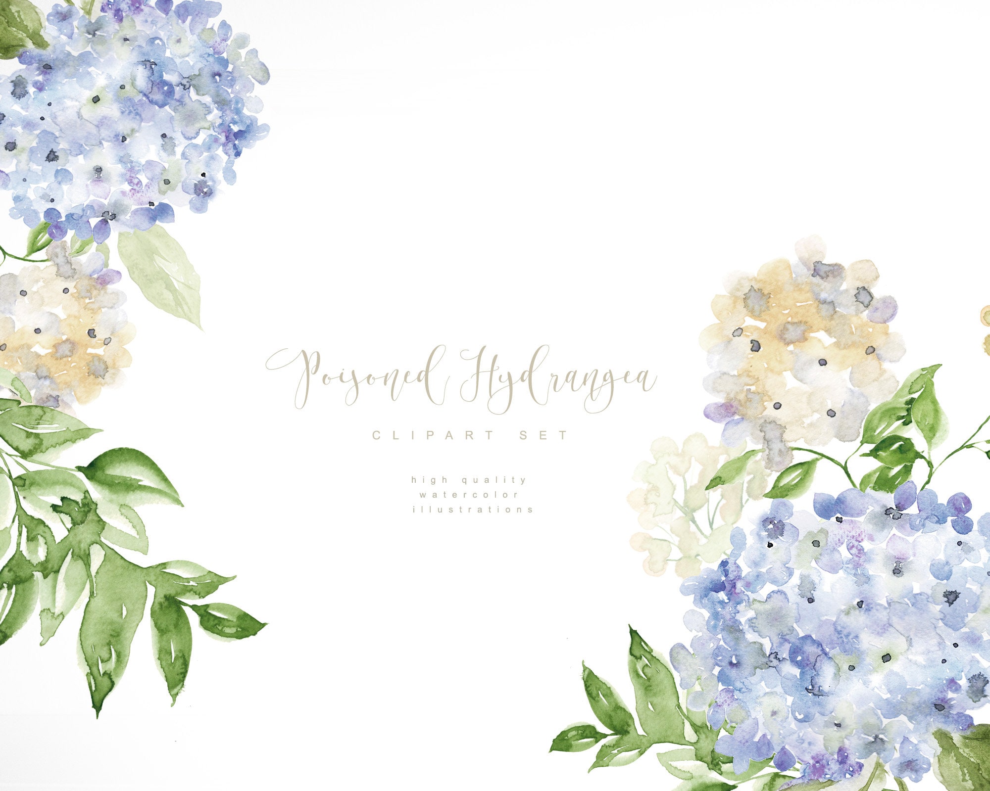 Watercolor Hydrangea Clipart Blue Hydrangea Clipart | Etsy