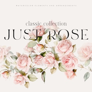 Clipart rose acquerello - Clipart rose - Clipart acquerello - Clipart matrimonio - Clipart rose classiche - Rose acquerello - Clipart preconfezionate