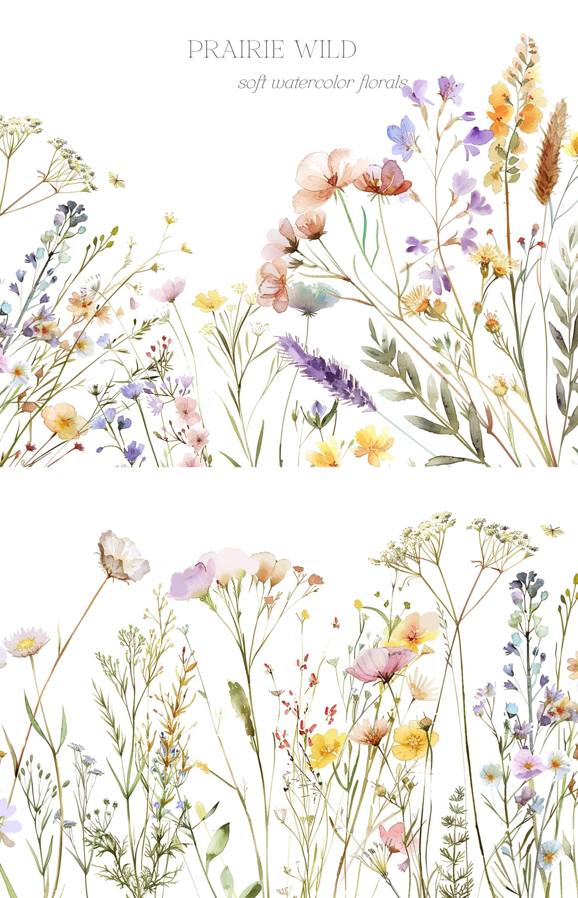 Prairie Border Watercolor Wild Prairie Flowers - Wild Floral Fields - Meadow Flowers ...
