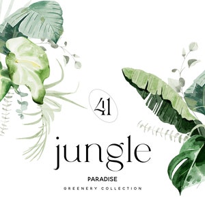 Imágenes prediseñadas de acuarela verde - Vegetación tropical - Hojas de la selva - Imágenes prediseñadas de la selva - Acuarela verde - Acuarela Tropical-Wreaths Clipart