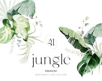 May include: Watercolor illustration of tropical foliage, including large green leaves and smaller sprigs, arranged on a white background. The word "jungle" is written in a stylish font, with the number "41" in a circle above it.