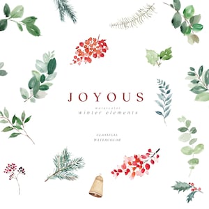 Clipart Noël aquarelle - éléments botaniques de Noël - plantes de Noël - clipart hiver éléments - clipart hiver