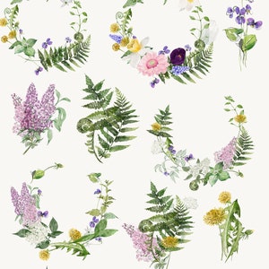 May include: A set of 12 watercolor floral illustrations featuring a variety of spring flowers, including lilacs, daffodils, pansies, and ferns. The illustrations are perfect for creating invitations, cards, and other paper crafts.