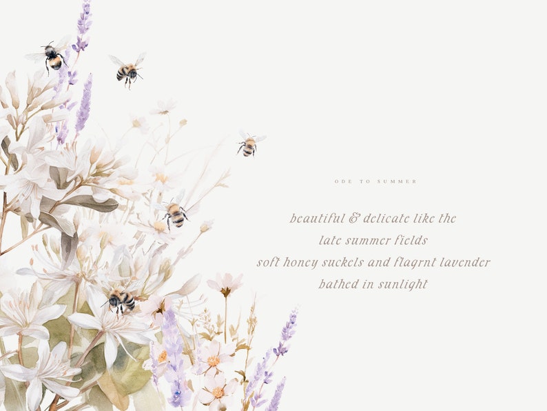 May include: Watercolor painting of white flowers and lavender with bees flying around them. The text "ODE TO SUMMER" is written in the upper right corner of the image. The text below reads "beautiful & delicate like the late summer fields soft honey suckels and fragrant lavender bathed in sunlight."