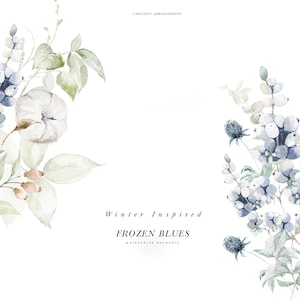 Aquarelle Winter Floral Clipart - Coton Fleur Clipart - Aquarelle Baies d’hiver - Dusty Blue Clipart - Dusty Blue Aquarelle - Marine