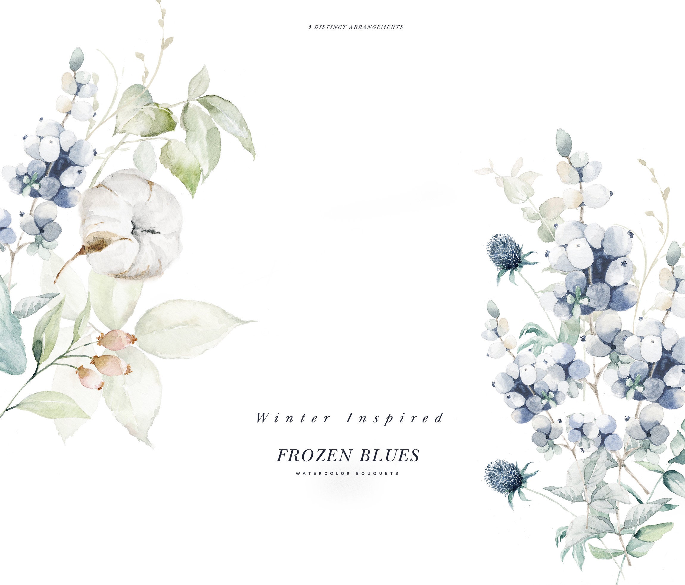 Watercolor Clipart Cotton Berries Dusty Watercolor Floral Flower Winter Clipart Clipart Watercolor Etsy Dusty Sweden Winter Navy - Blue Blue