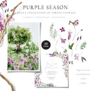 Aquarell Frühling Blumen Clipart - Lila Blumen - Flieder - Frühling Clipart - Floral Clipart - Aquarell Frühling - Frühling Florals