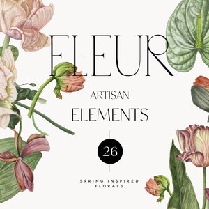 Clipart floral - Clipart botánico - Ilustración botánica - Bellas artes - Flores de verano - Flores de primavera - Amapola - Anthurium - Tulipán