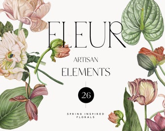 Clipart floral - Clipart botanique - Illustration botanique - Fine art - Fleurs d'été - Fleurs de printemps - Coquelicot - Anthurium - Tulipe