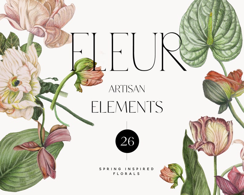May include: A collection of 26 hand-drawn floral illustrations in a vintage style. The illustrations feature various flowers, including tulips, lilies, and anthuriums, in shades of pink, red, green, and white. The text "FLEUR ARTISAN ELEMENTS" is displayed in a black sans-serif font.
