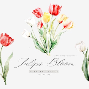 Clipart di tulipani dell'acquerello - Clipart di tulipani - Clipart di primavera - Tulipani di primavera - Clipart floreale - Clipart di matrimonio - Clipart di Scrapbooking