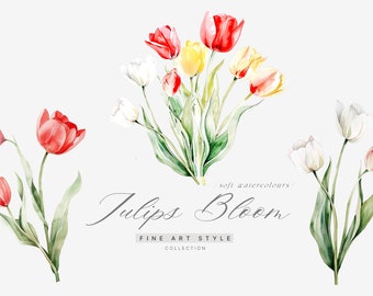 Watercolor Tulips Clipart - Tulips Clipart - Spring Clipart - Spring Tulips - Floral Clipart - Wedding Clipart - Scrapbooking Clipart