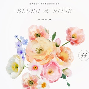 Blush und Rose Aquarell Clipart - Blush und Rose - Blumen Clipart - Rosen Clipart - Hochzeit Clipart - Vorgefertigte Blumen Clipart - Blush
