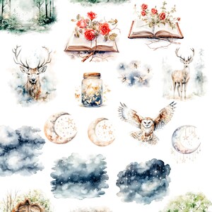 Peut inclure: Ensemble de clipart aquarelle sur le th&egrave;me f&eacute;erique du Songe d'une nuit d'&eacute;t&eacute;. Comprend des images d'une cl&eacute;, d'un livre, d'un cerf, d'un bocal avec des lucioles, d'une lune, d'un nuage, d'un hibou, d'un arbre et de roses.