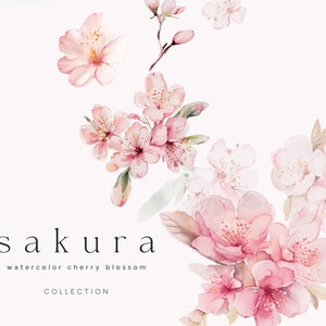 Aquarelle de fleurs de cerisier - Clipart de fleurs de cerisier - Clipart Sakura - cadres floraux - Couronnes de fleurs - Clipart printemps - Clipart Floral