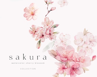 Watercolor Cherry Blossoms - Cherry Blossoms Clipart - Sakura Clipart - Floral Frames -Floral Wreaths - Spring Clipart - Floral Clipart